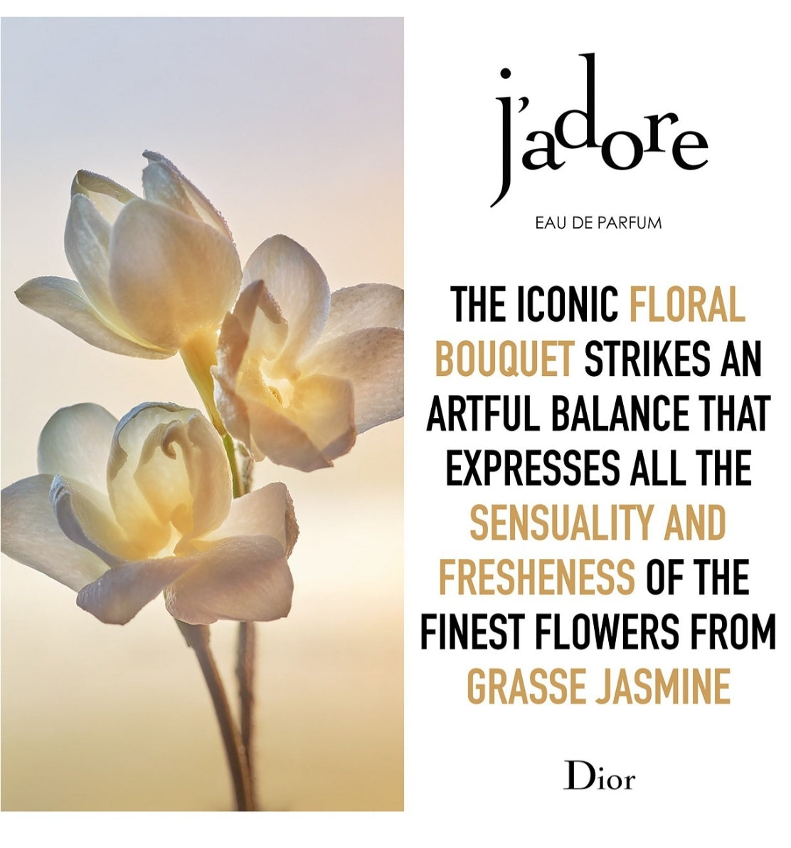 Dior J'adore 오 드 퍼퓸 스프레이 향수 컬렉션