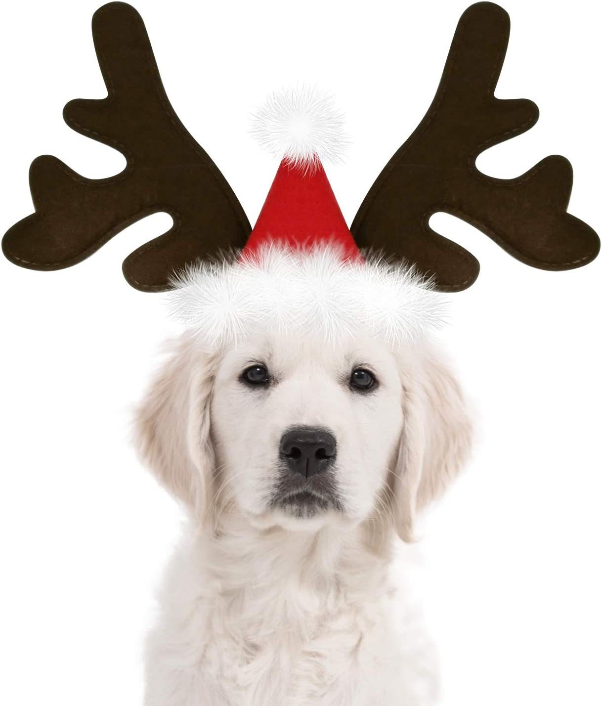 Dog Christmas Reindeer Antlers Headband Classic Elk Hat Headwear Pet Costumes Accessories pet gift