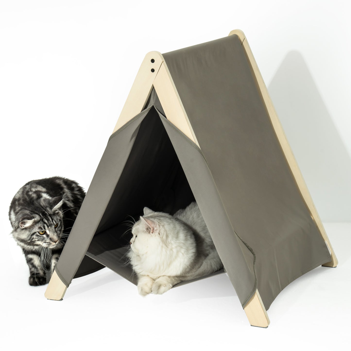 Pet Tent, Cat Tent for Indoor Cats, Wooden Cat House for small Pets,Gray green