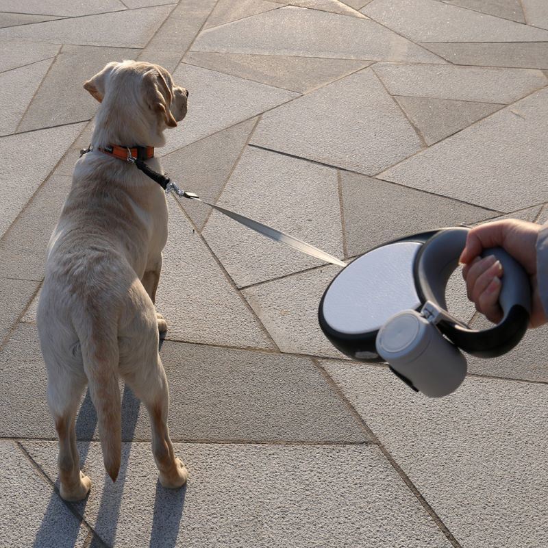 Large Pet Dog Auto Retractable Training Leads
