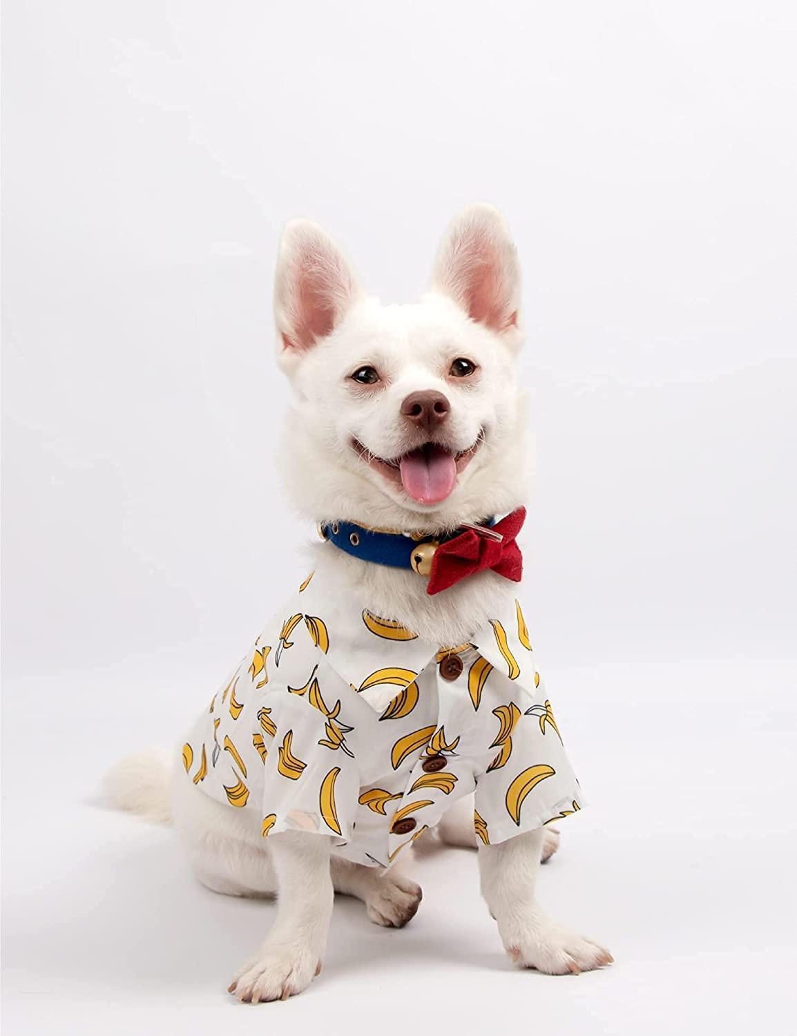 DOG SHIRT (m) - Cute Dog Clothes for Small Medium Large Dogs Cats Birthday Party and Holiday Photos