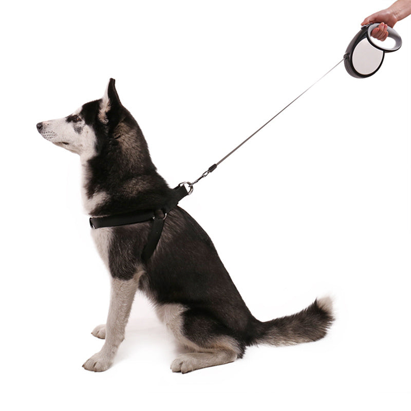 Large Pet Dog Auto Retractable Training Leads