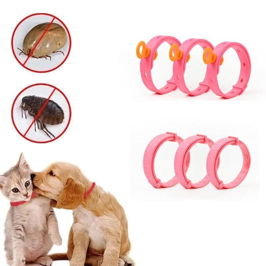 Pet Dog Cat Flea Adjustable Collar Effective Removal Of Flea Mite Lice Insecticide Mosquito Cat Mosquitoe Repellent Pet Collar