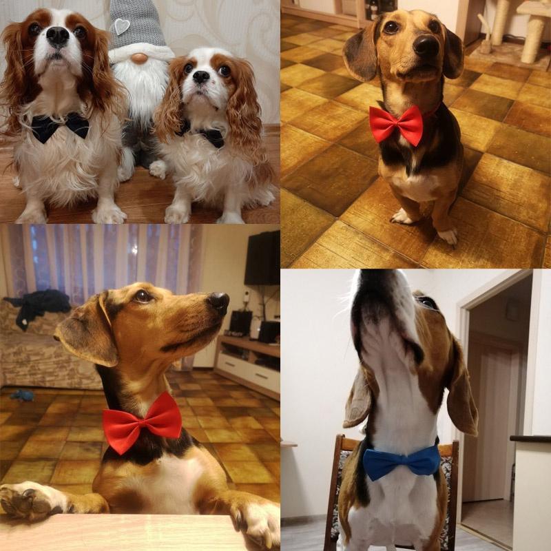 Dogs Accessories Pet Kawaii Dog Cat Necklace Adjustable Strap for Cat Collar Pet Dog Bow Tie Puppy Bow Ties Dog Pet Supplies