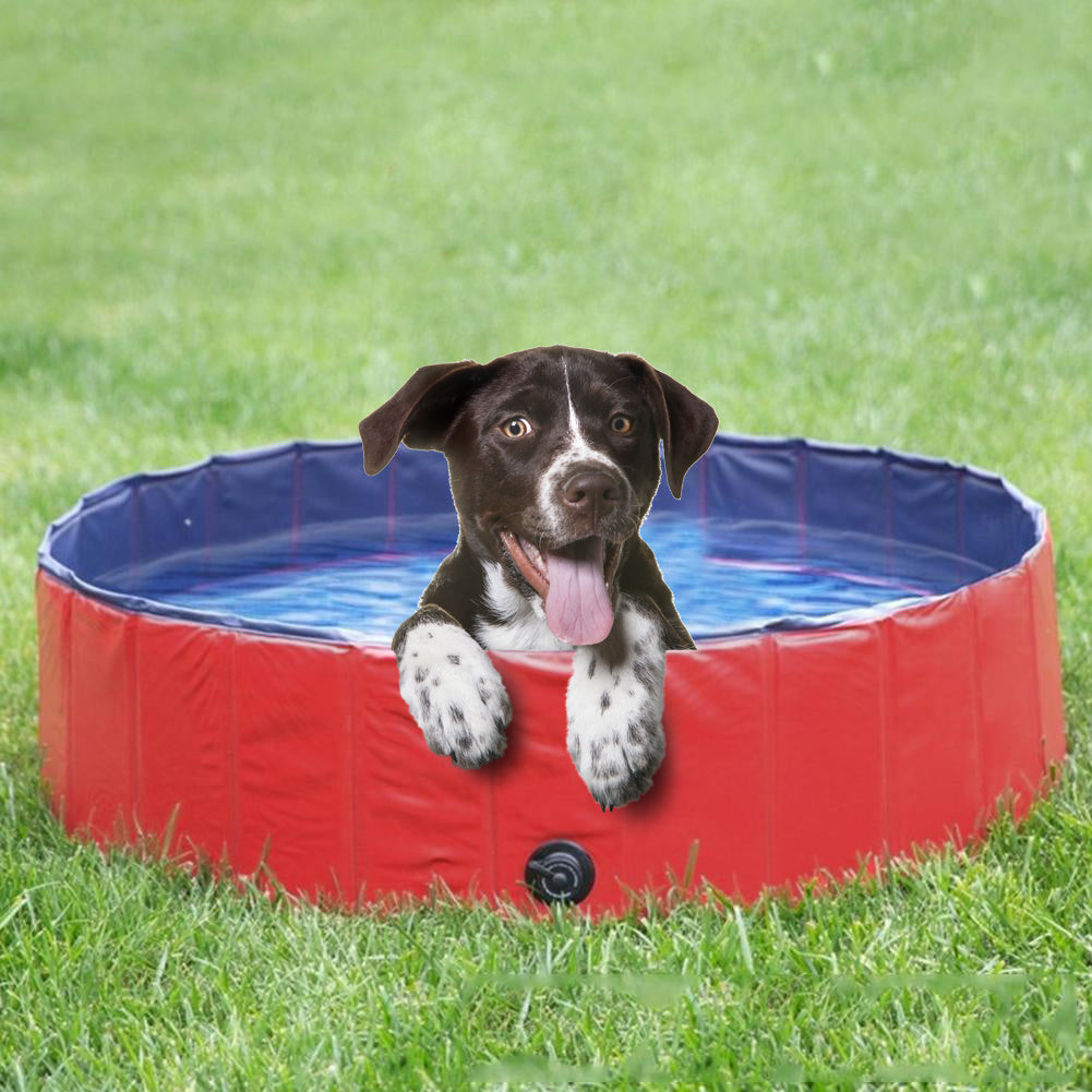 Dog Pool, 160*30/120*30 Foldable Large and Small Dog Pool, Dog Bath, 100% Safe & Non Toxic Kid's Rigid Pool