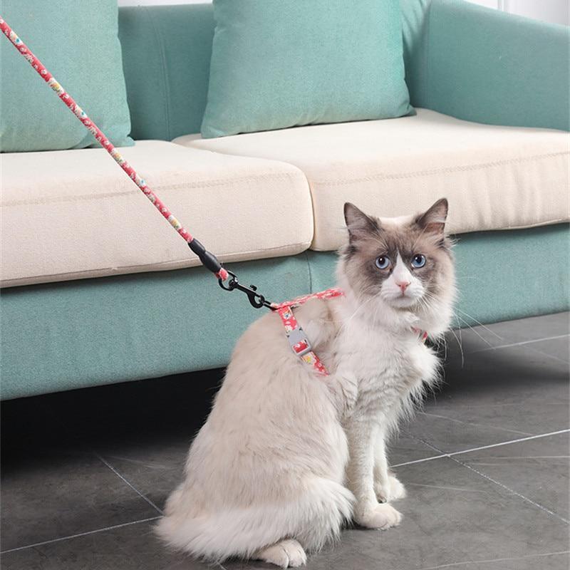 Cat Collar Harness Leash Traction Rope Chest Strap Pet Safe Gentle Leader Come with Me Kitty Harness Bungee Drop Shipping