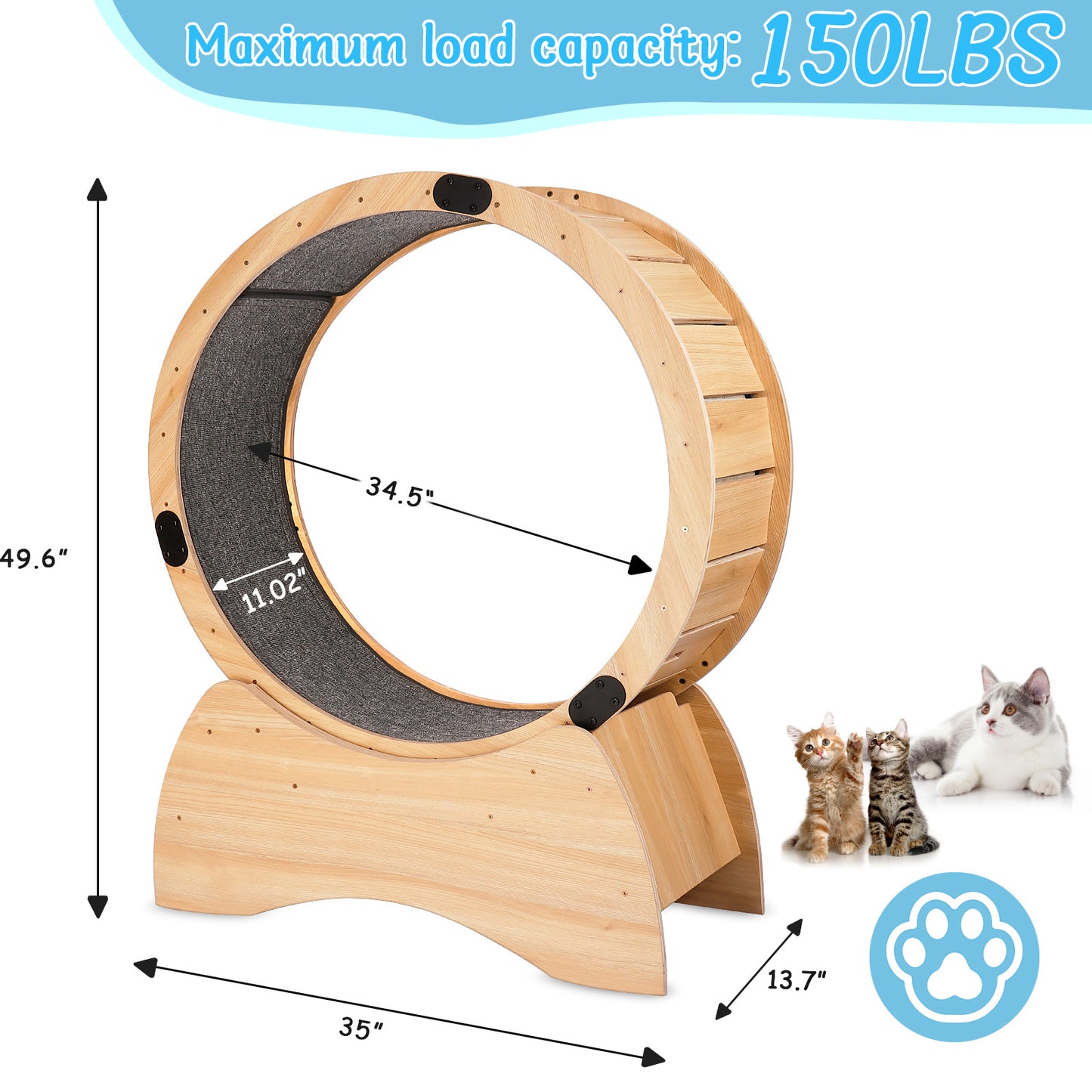 Cat Exercise Wheel – Running, Spinning, and Scratching Fun, Cat Treadmill with