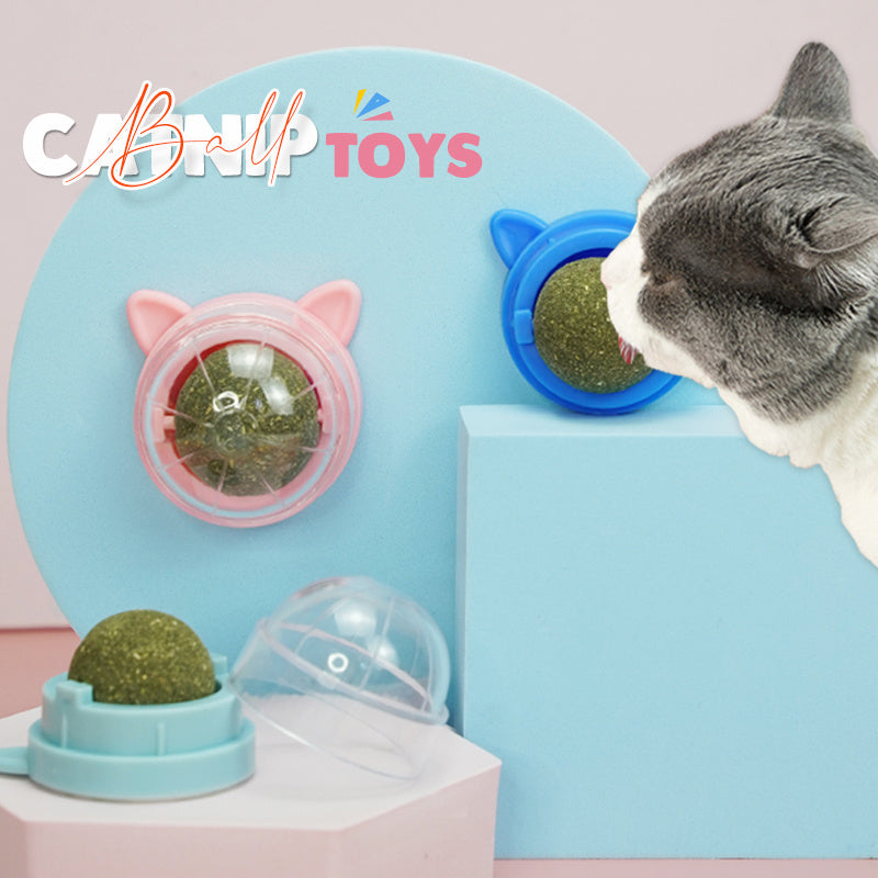 Pet Stuff Healthy Cat Catnip Toys Ball Cat Candy Licking Snacks Catnip Snack Nutrition Energy Ball Kitten Cat Toy Cat Supplies