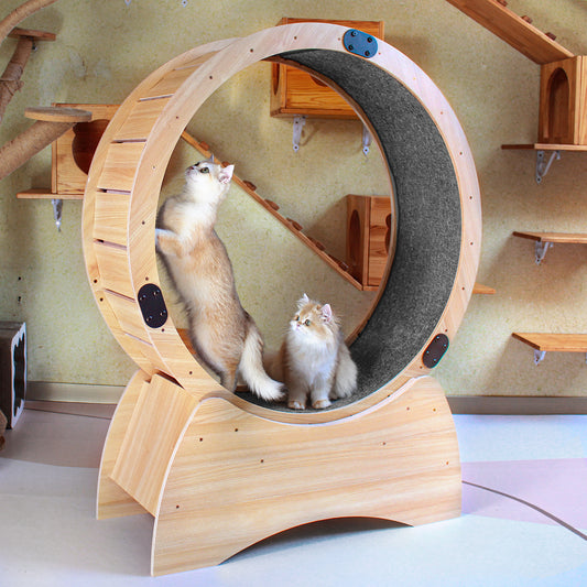 Cat Exercise Wheel – Running, Spinning, and Scratching Fun, Cat Treadmill with