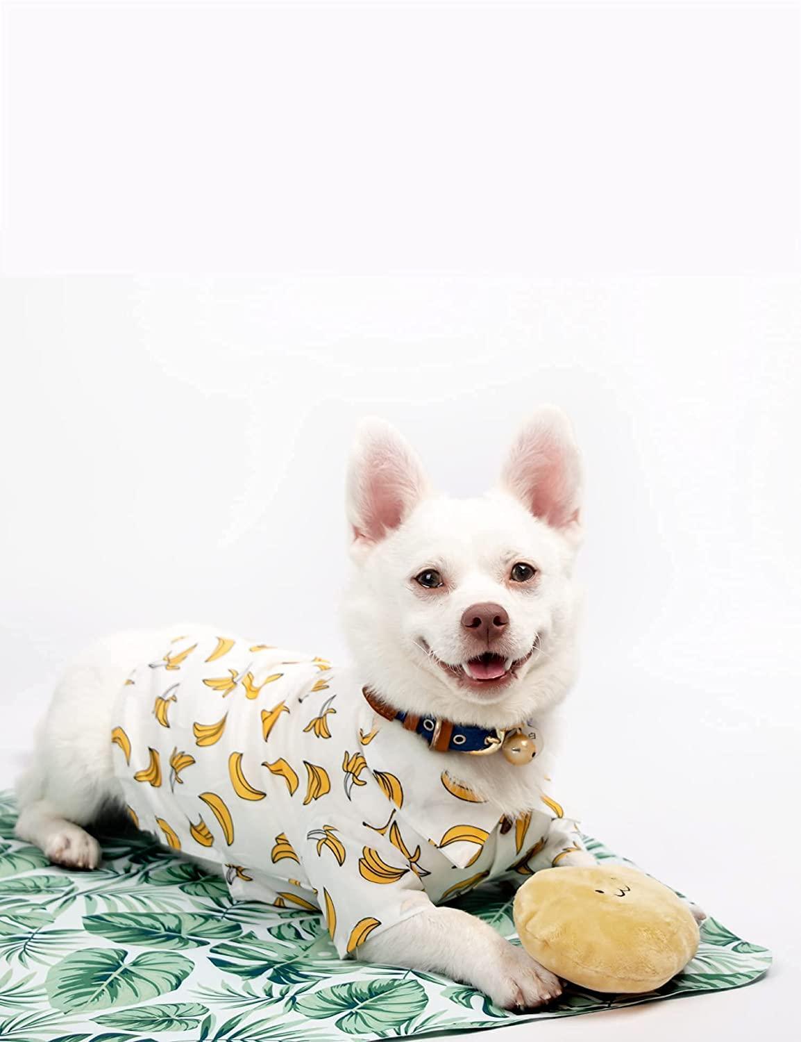 DOG SHIRT (m) - Cute Dog Clothes for Small Medium Large Dogs Cats Birthday Party and Holiday Photos