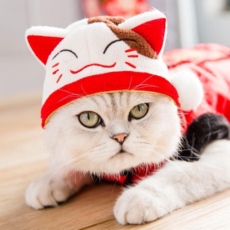 Funny Cat Hat Cartoon Duck Tiger Cosplay Costume Headgear Cute Pets Dog Cap Puppy Kitten Dress Up Accessories