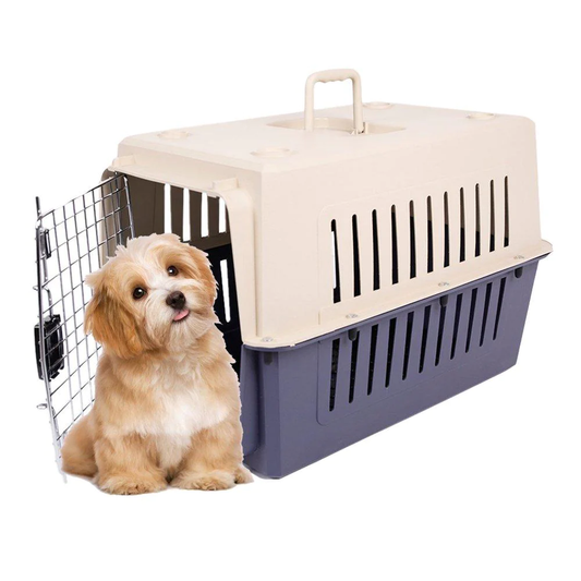Plastic Cat & Dog Carrier Cage with Chrome Door Portable Pet Box Airline Approved, Medium, Blue/Red